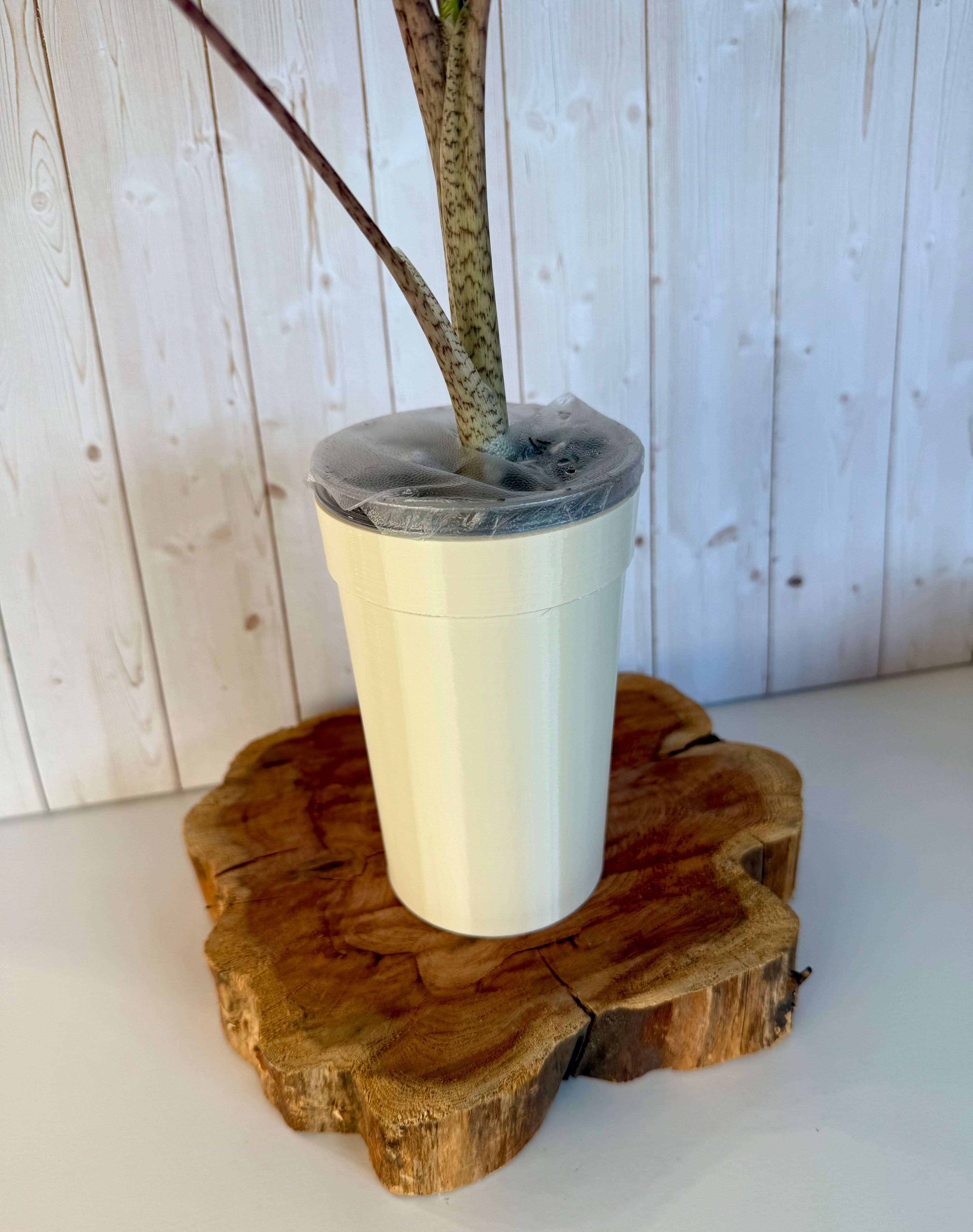 Classic Cup - 3.7in - 16 oz