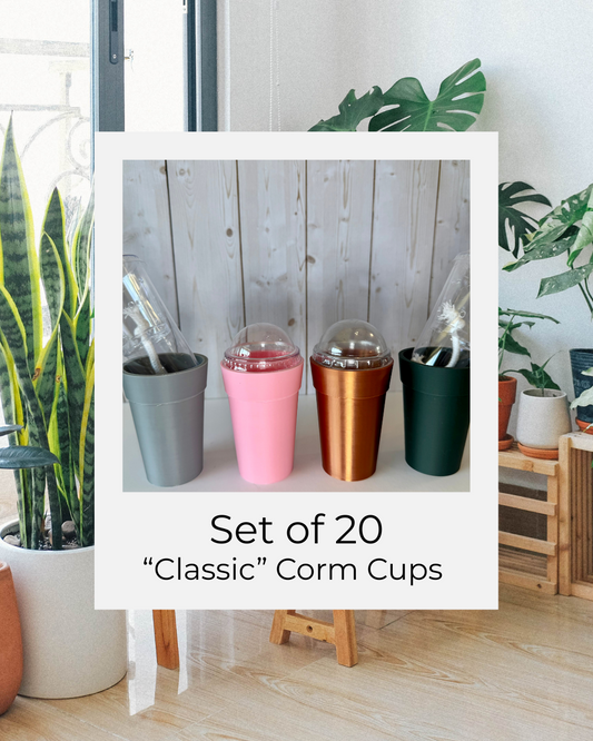 Classic Opaque Corm Cups: 20-pack!