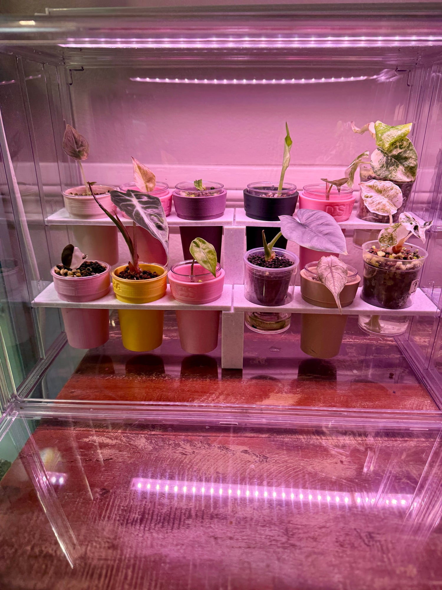 DPH PropBox Shelf System™ | Modular Shelves for Acrylic Propagation Cabinets