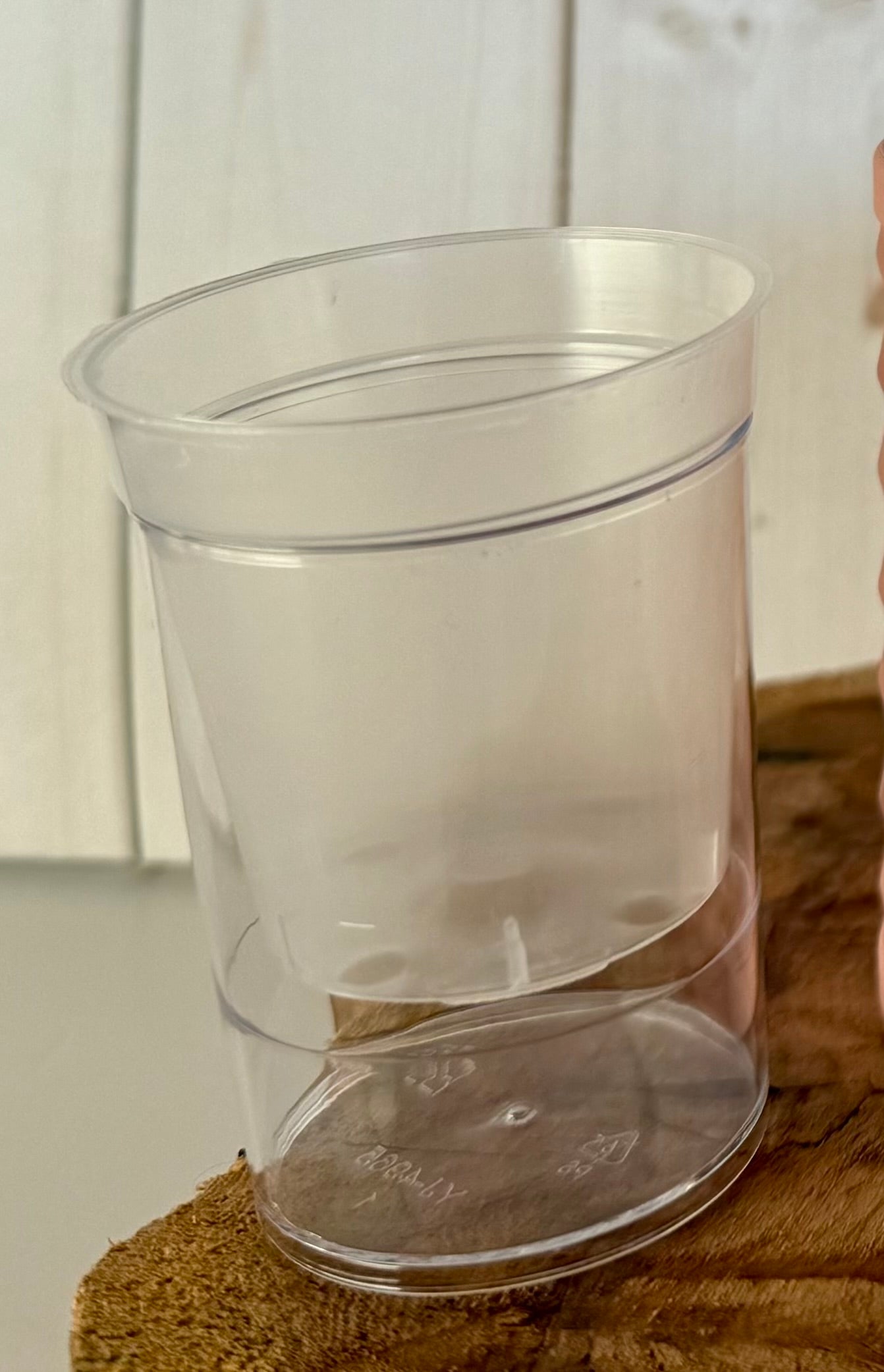 Pup Cup Clear Insert Bundle (2-inch) - Set of 10