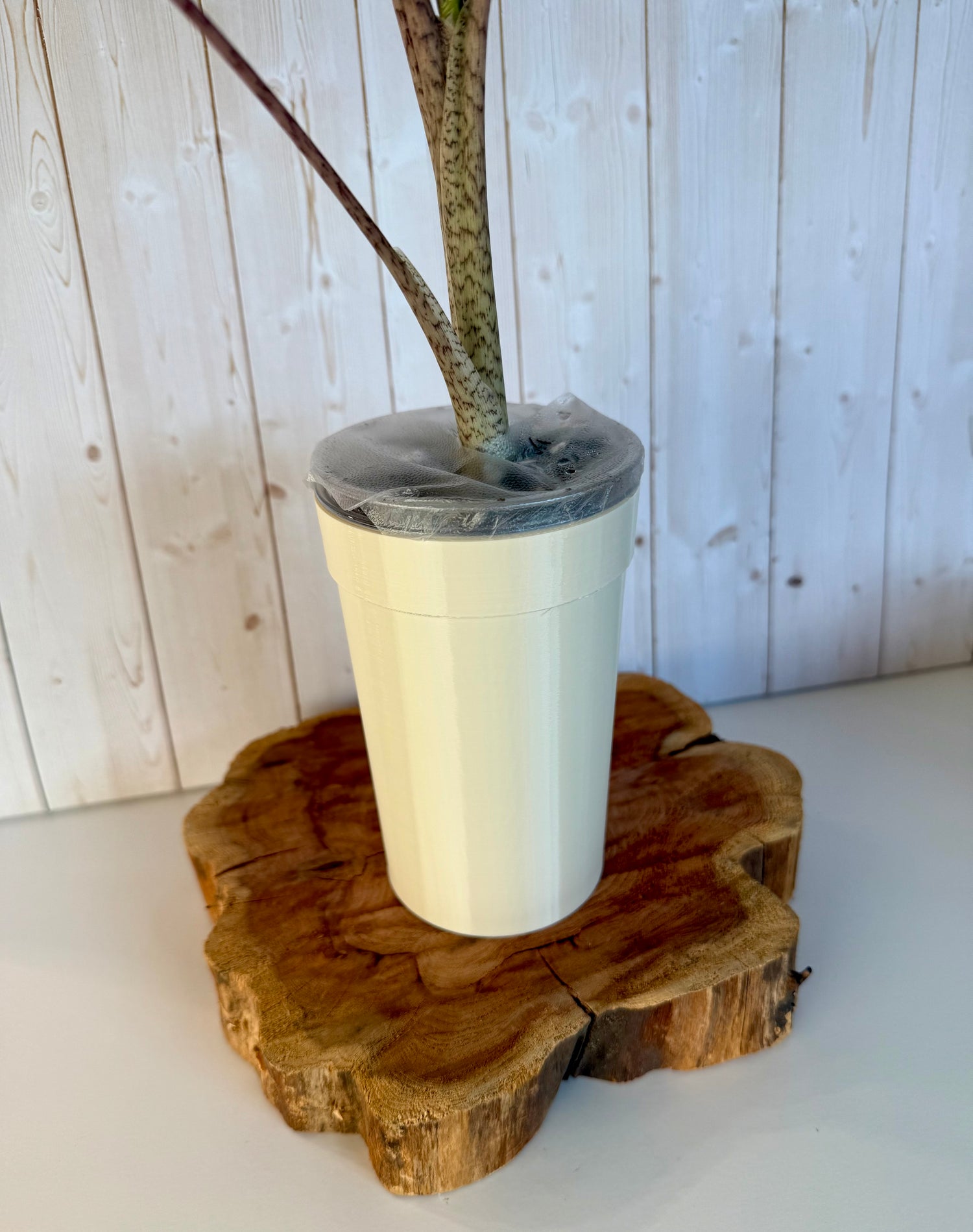 Classic Cup - 3.7in - 16 oz