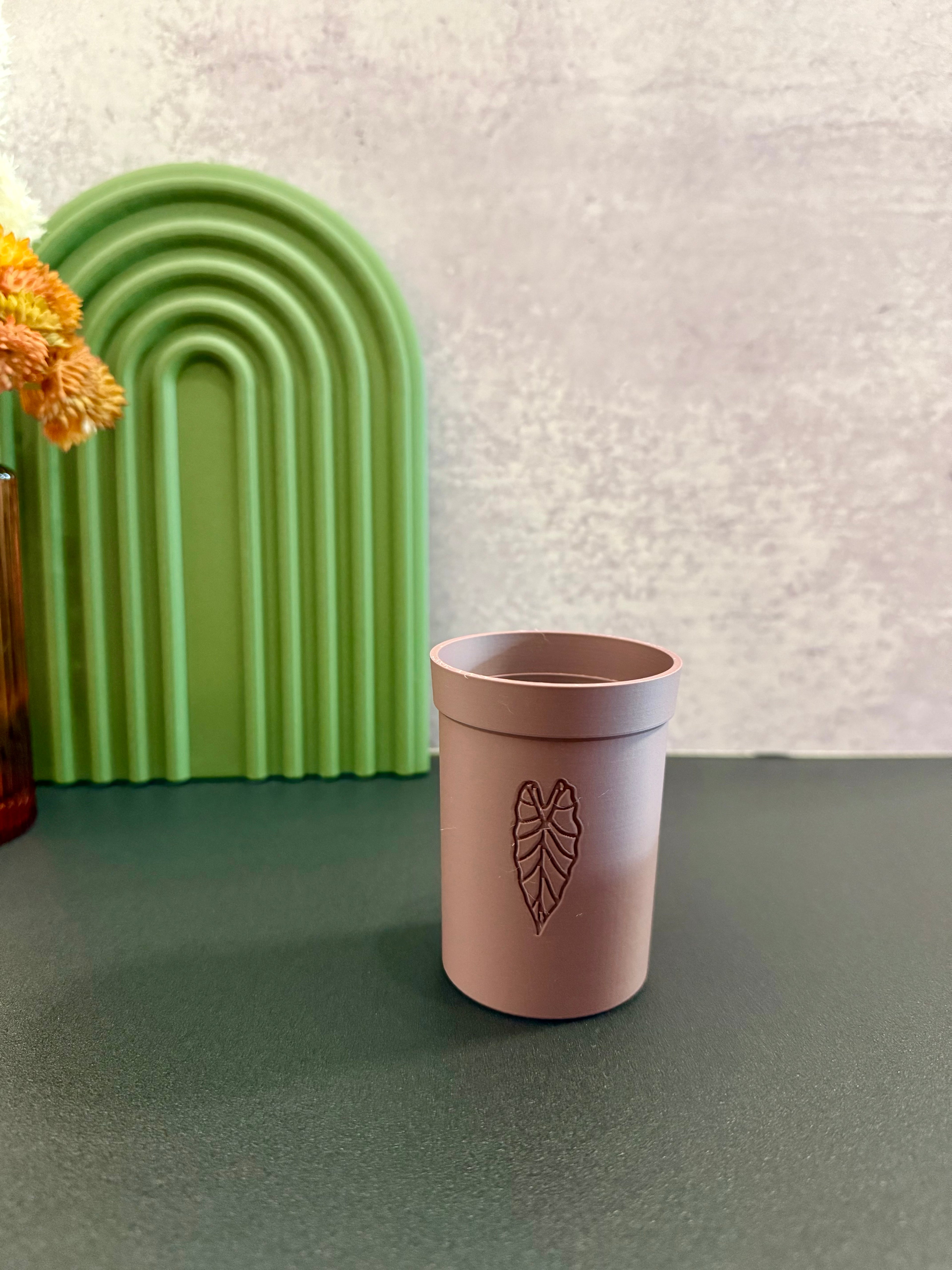 Classic — Refined Starter Set (3 Cups)